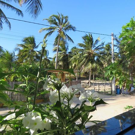 Villa Dos Coqueirais Икараи Екстериор снимка