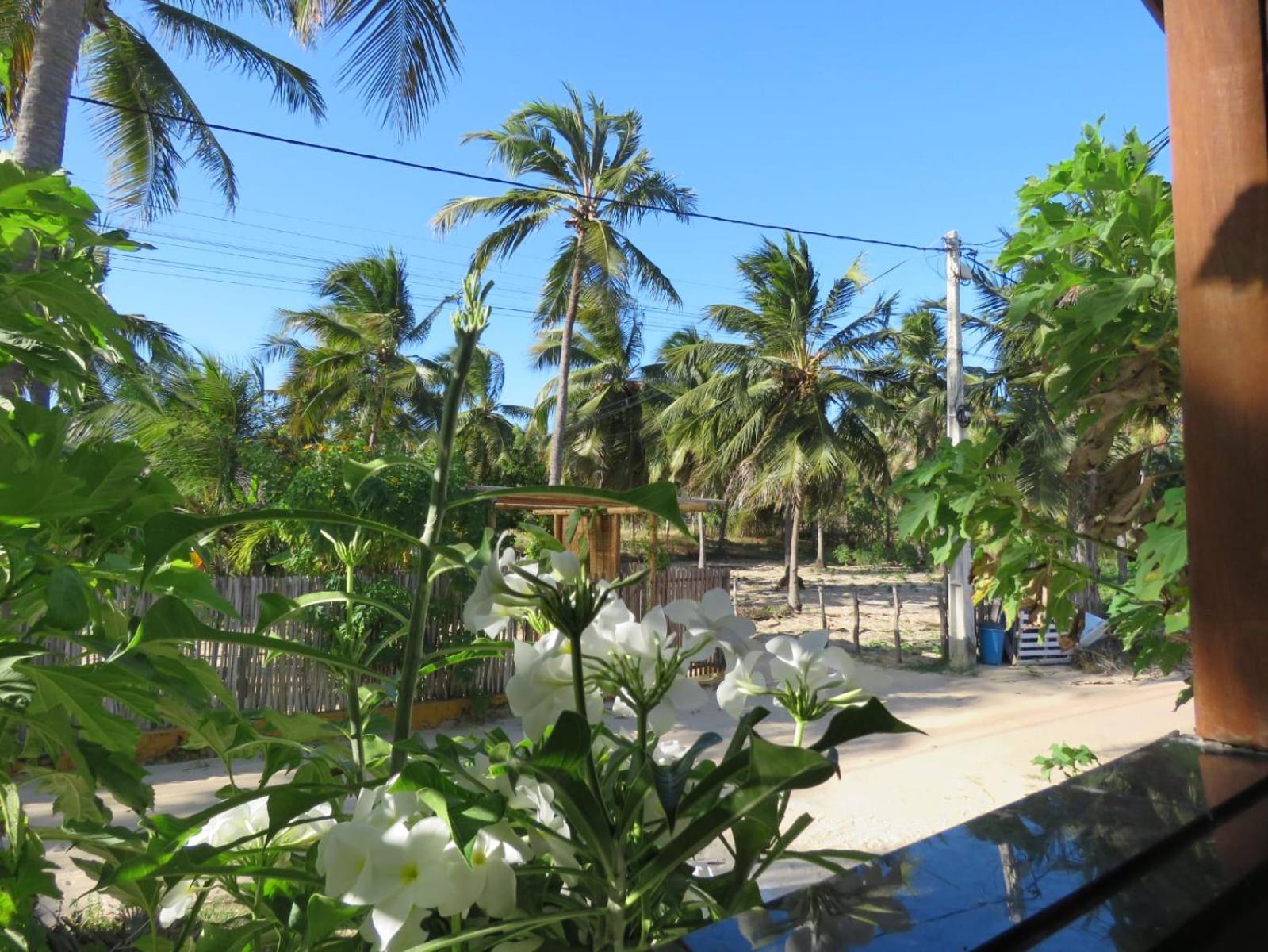 Villa Dos Coqueirais Икараи Екстериор снимка